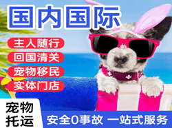 乌兰浩特义勒力特航空快递国际宠物托运 【国